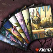 Arena Code