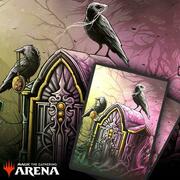 Arena Code