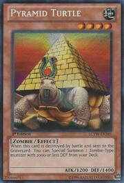 Pyramid Turtle