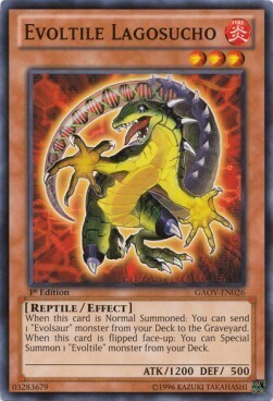 Evoltile Lagosucho Card Front