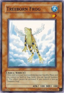 Treeborn Frog Card Front