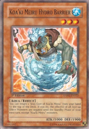 Koa'ki Meiru Hydro Barrier