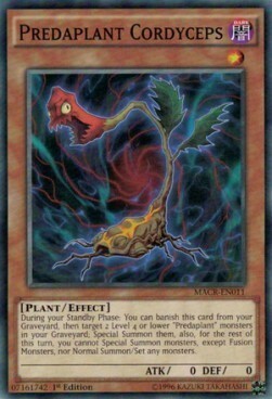 Predaplant Cordyceps Card Front