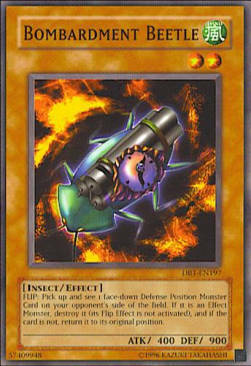 Bombardment Beetle Card Front