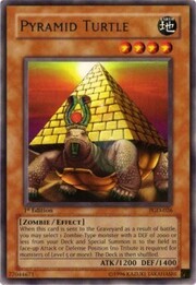 Pyramid Turtle