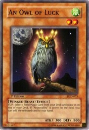 An Owl of Luck