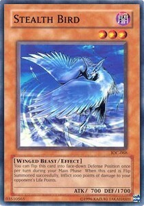 Stealth Bird Card Front