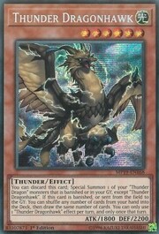 Thunder Dragonhawk