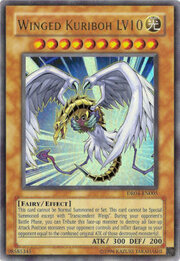 Winged Kuriboh LV10