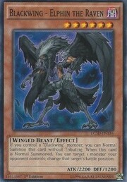 Blackwing - Elphin the Raven