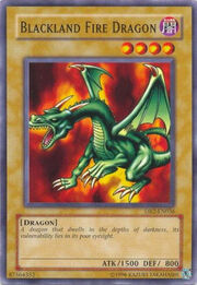 Blackland Fire Dragon