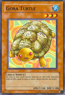 Gora Turtle Card Front