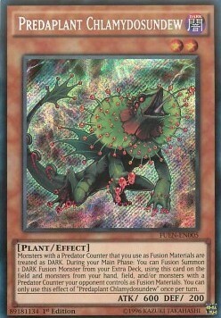 Predapianta Clamidosundew Card Front