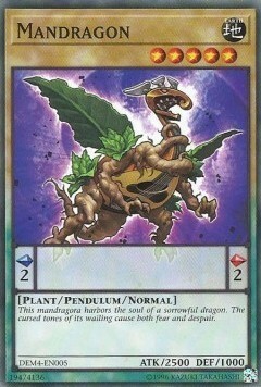 Mandragon Card Front