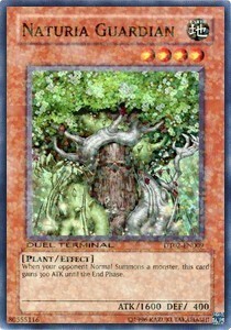 Naturia Guardian Card Front