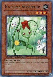 Naturia Rosewhip Card Front