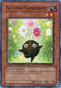 Naturia Cosmobeet Card Front