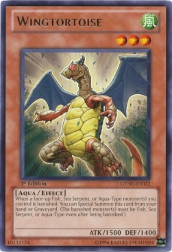 Wingtortoise Card Front