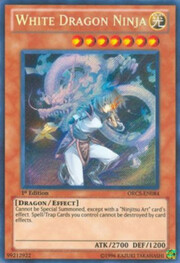 White Dragon Ninja