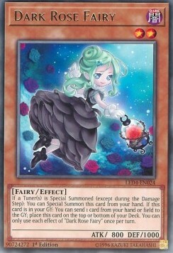 Dark Rose Fairy Card Front