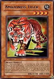 Amazoness Tiger