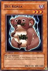 Des Koala Card Front