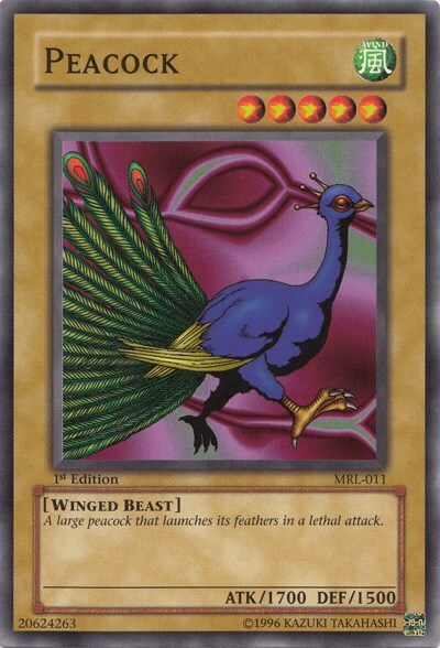 Peacock Card Front