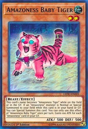 Amazoness Baby Tiger Card Front