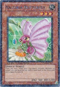 Naturia Butterfly Card Front