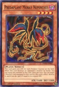 Predaplant Moray Nepenthes Card Front