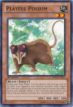 Opossum Giocoso Card Front