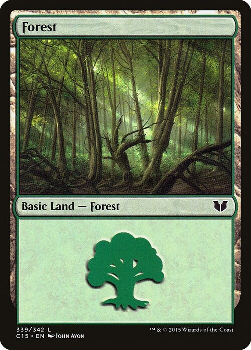 Forest Card Front