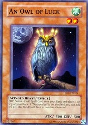 An Owl of Luck