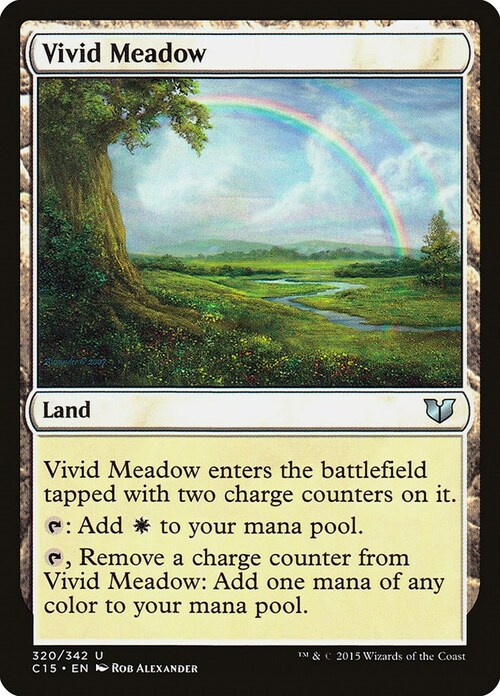 Vivid Meadow Card Front