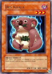 Des Koala Card Front