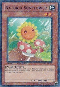 Naturia Sunflower Card Front