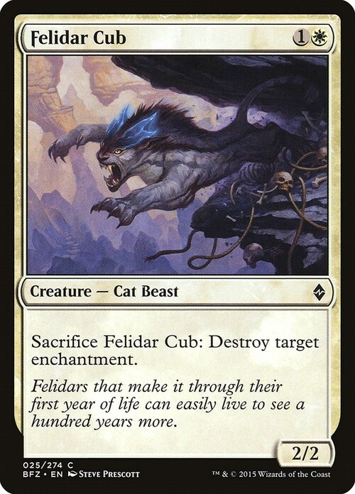 Felidar Cub Card Front